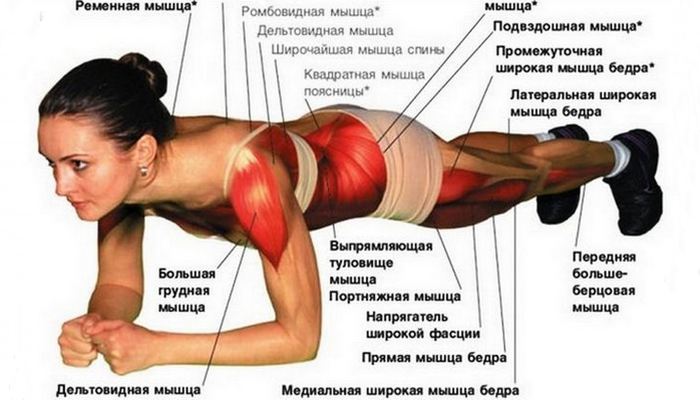 7 вещей, которые произойдут с телом, если делать упражнение «планка» каждый день